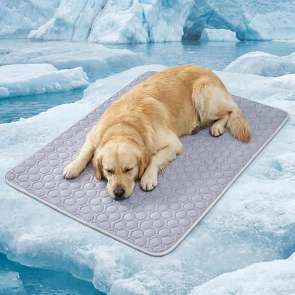 Pet Cooling Mat for Dogs Thick Soft Washable Dog Cooling Mat Indoor Upgrade Waterproof Non-Slip Self Cooling Pad for Dog and Cat (Grey, 19'' X 24'' Small)
